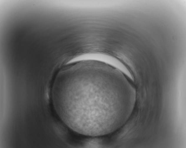 X0000088740115200706071708