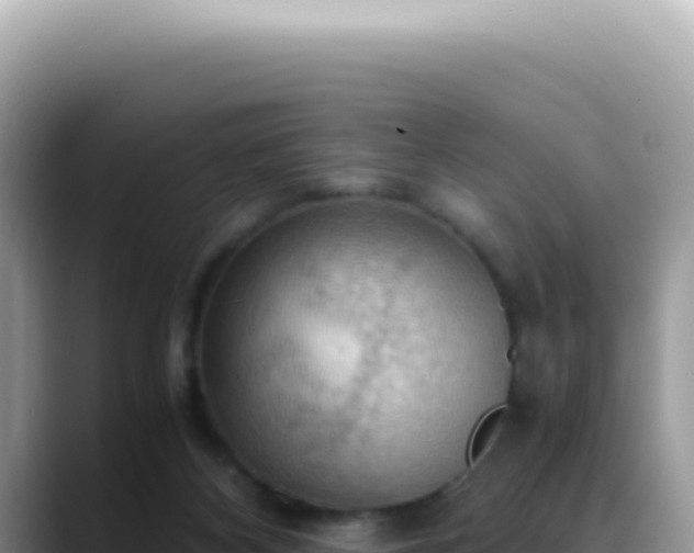 X0000088740116200706071708
