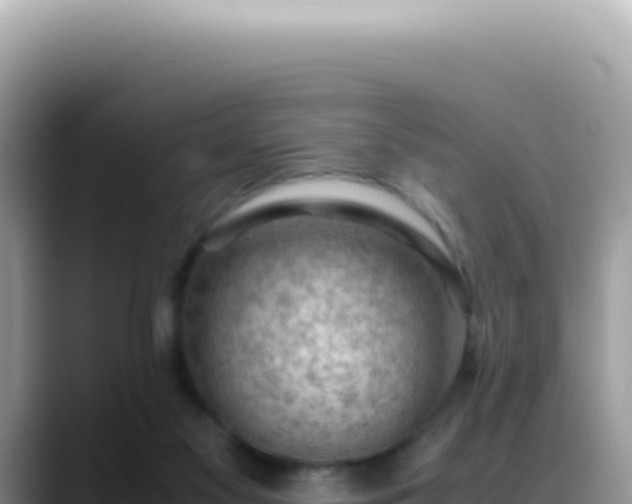 X0000088740117200706071707