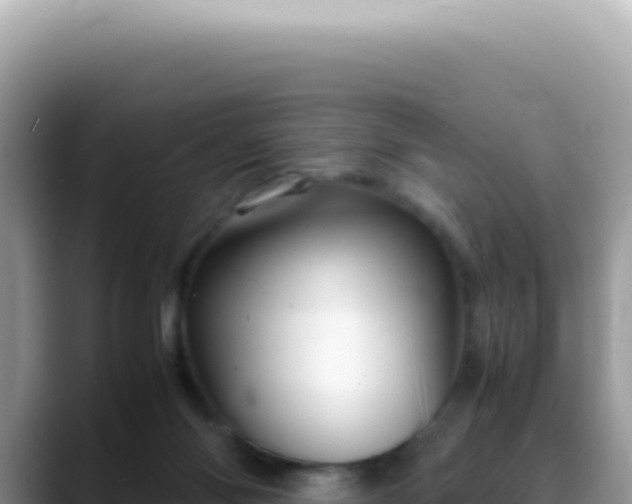 X0000088740118200706071707