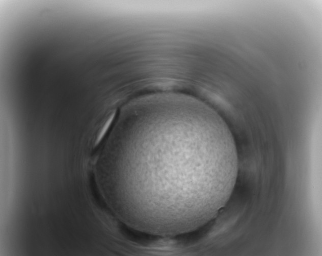 X0000088740119200706071707