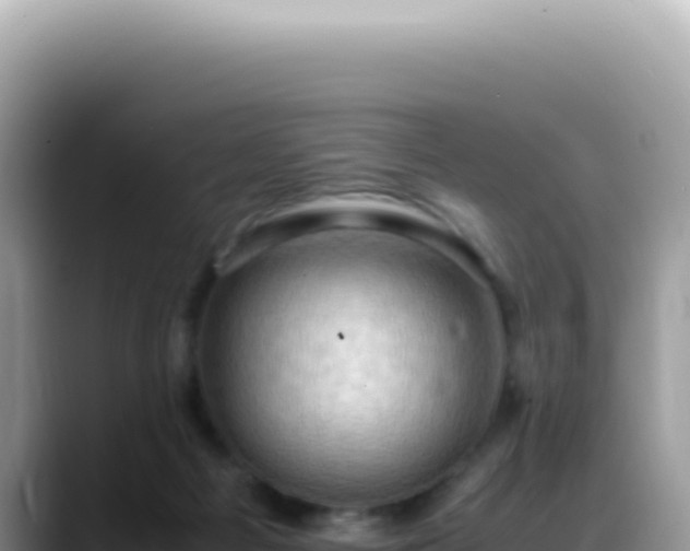X0000088740121200706071707