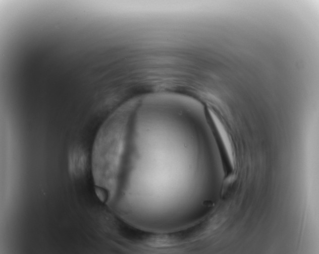 X0000088740123200706071707