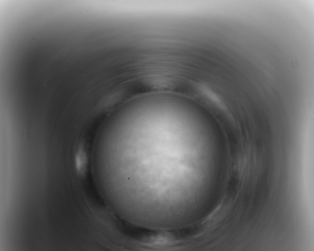 X0000088740124200706071707