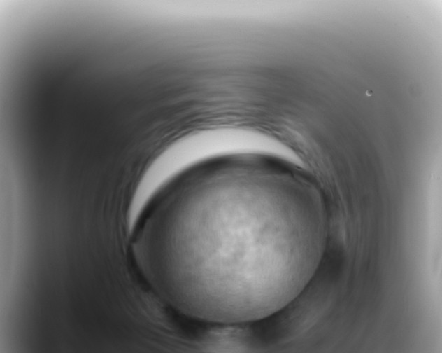 X0000088740125200706071707