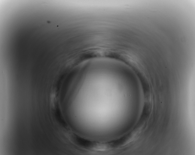 X0000088740127200706071707