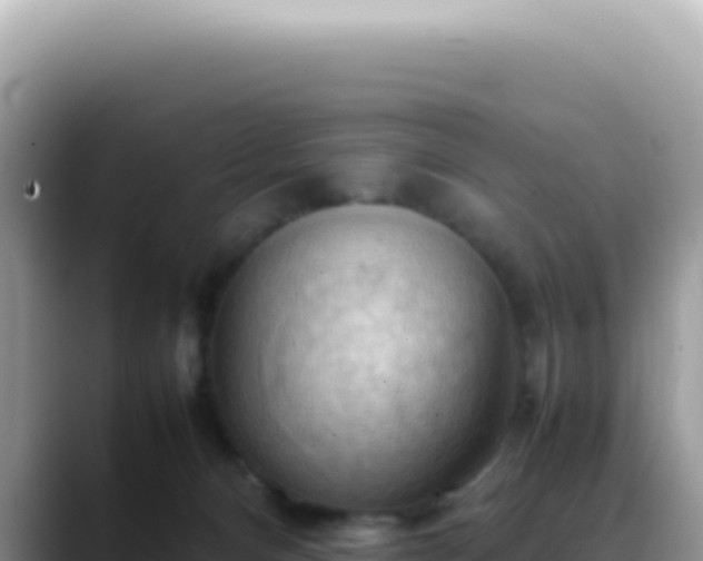 X0000088740128200706071707
