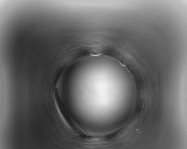 X0000088740129200706071707