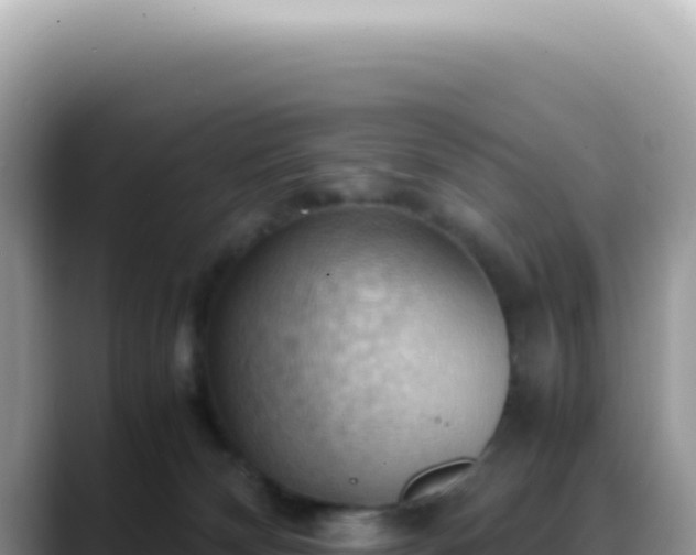 X0000088740132200706071707