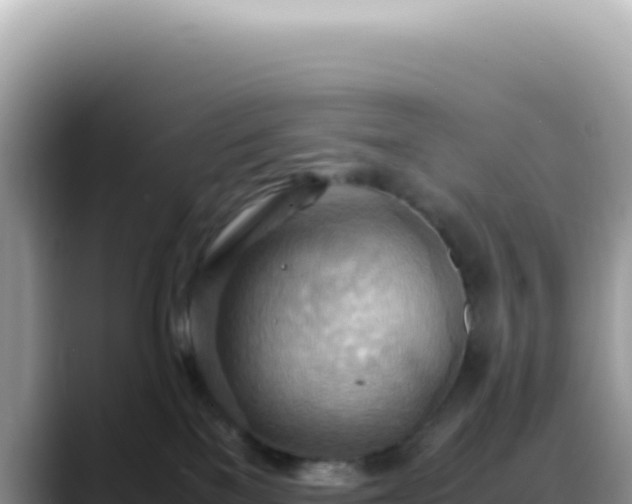 X0000088740137200706071707