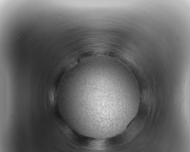 X0000088740138200706071707