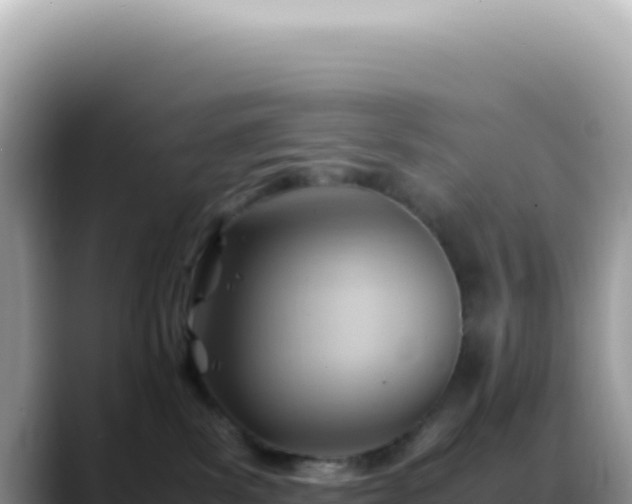 X0000088740139200706071707