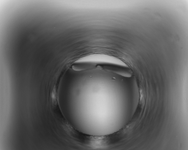X0000088740143200706071707