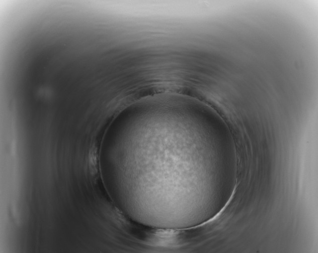 X0000088740144200706071707