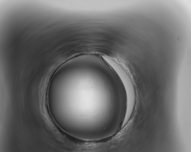 X0000088740145200706071707
