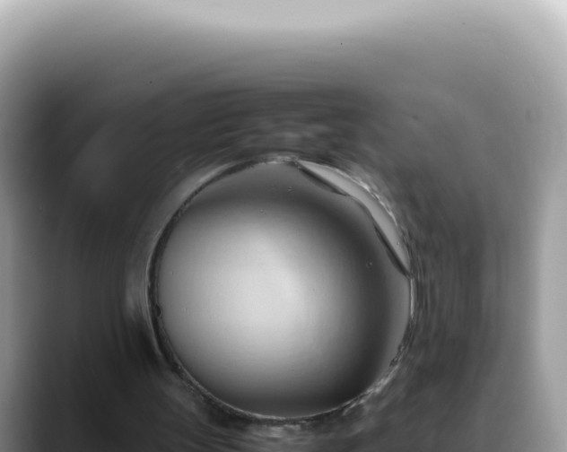 X0000088740147200706071707