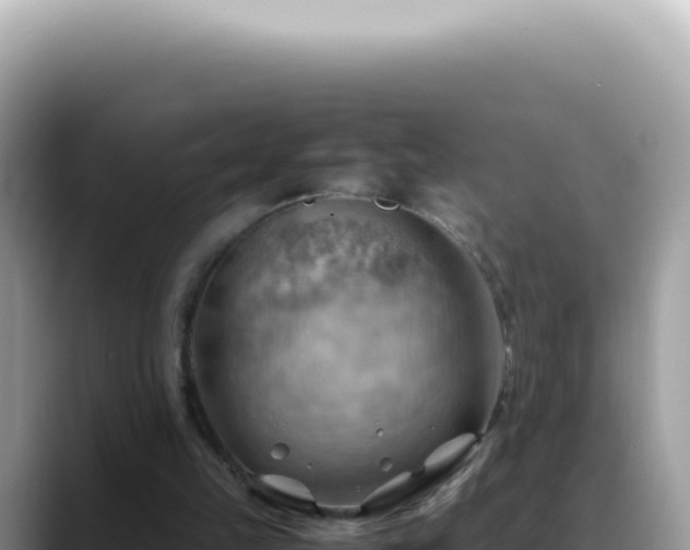 X0000088740149200706071707