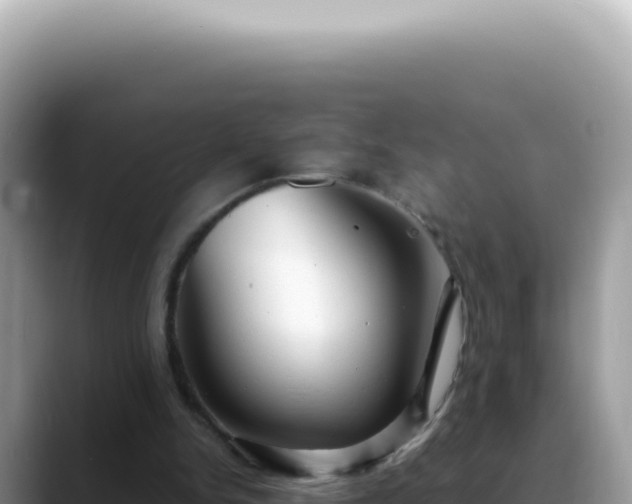 X0000088740150200706071707