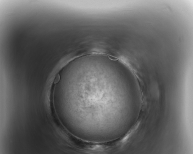 X0000088740151200706071707