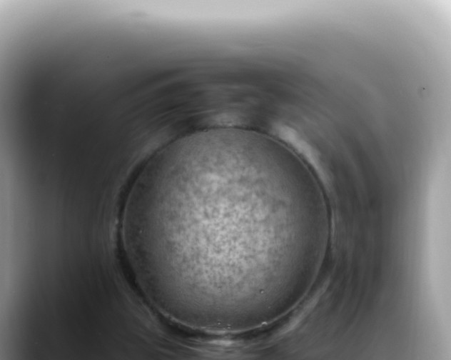 X0000088740153200706071707