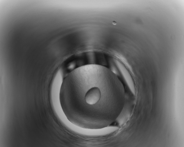 X0000088740154200706071707