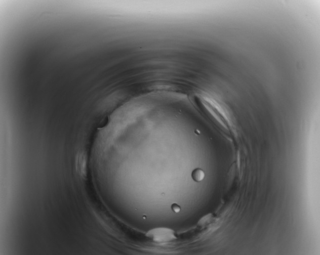 X0000088740157200706071707