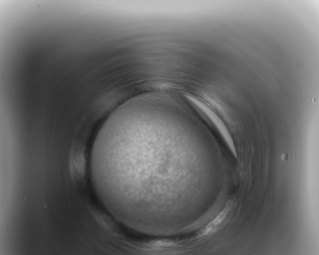 X0000088740158200706071707