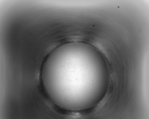 X0000088740159200706071707