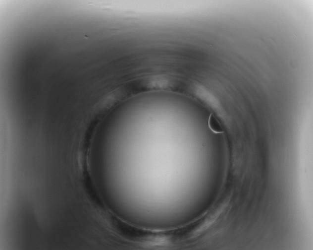 X0000088740161200706071707