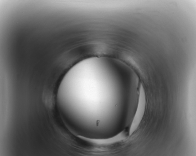 X0000088740164200706071707