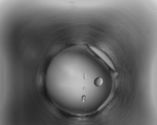 X0000088740165200706071707