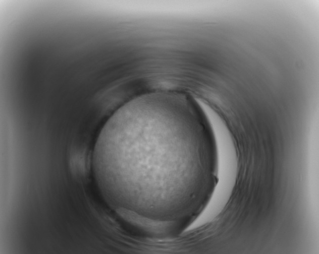 X0000088740168200706071707