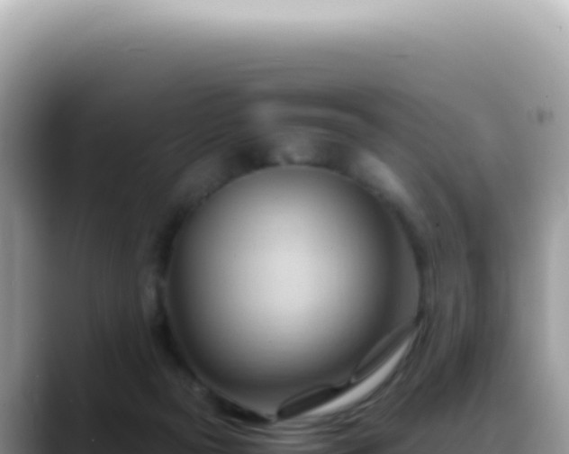 X0000088740169200706071707
