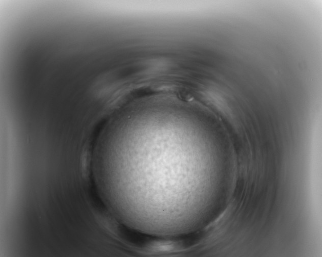 X0000088740171200706071707