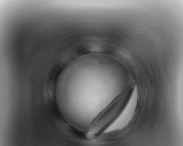 X0000088740175200706071707