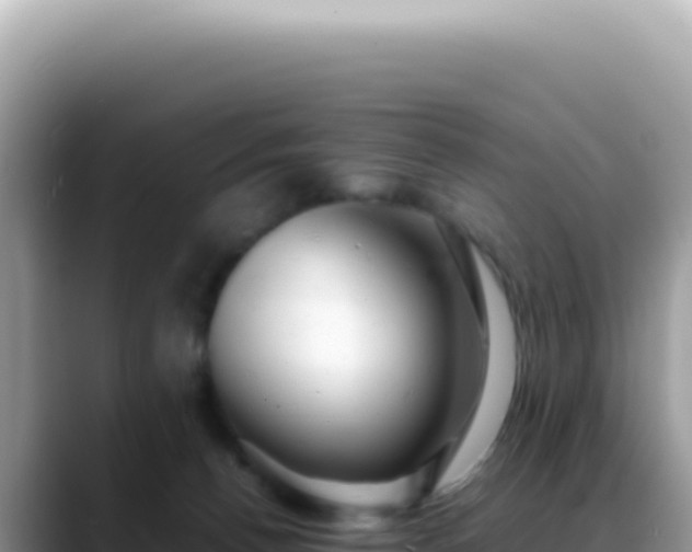 X0000088740176200706071707