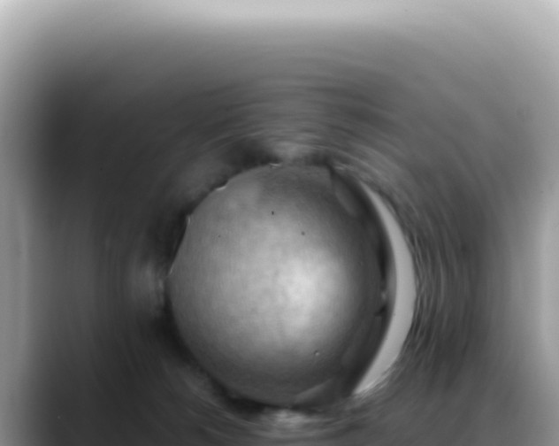 X0000088740180200706071707