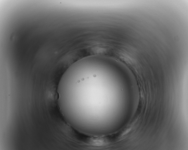 X0000088740181200706071707