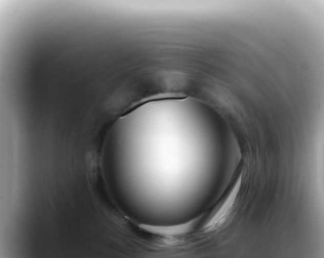X0000088740184200706071707