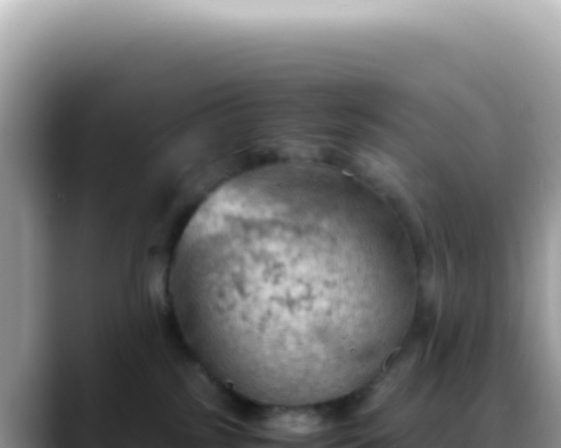 X0000088740185200706071707