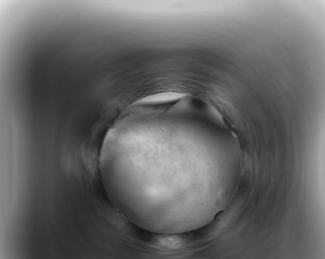 X0000088740189200706071707