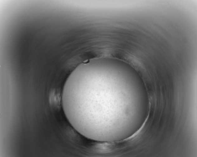 X0000088740190200706071707
