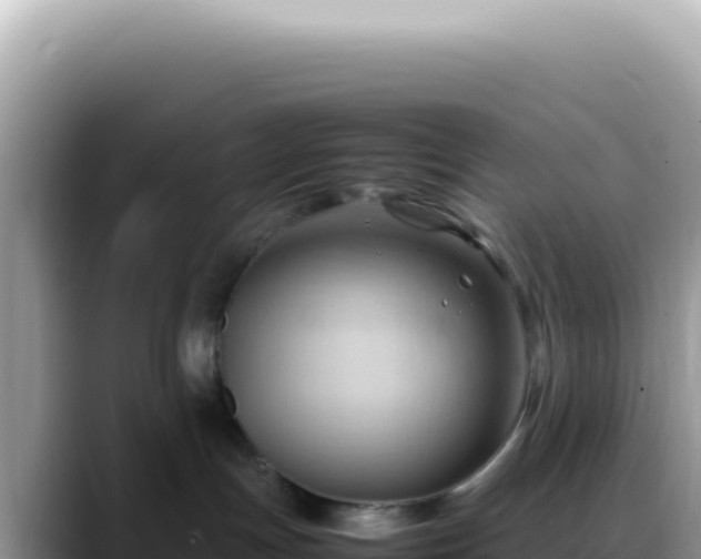 X0000088740191200706071707