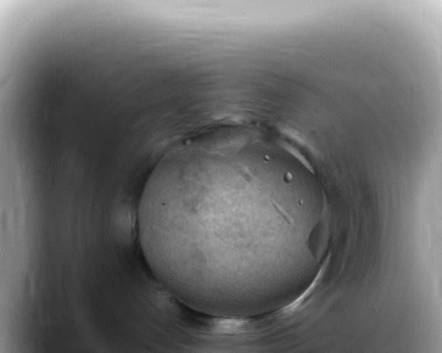 X0000088740192200706071707