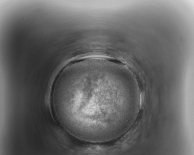 X0000088740195200706071706