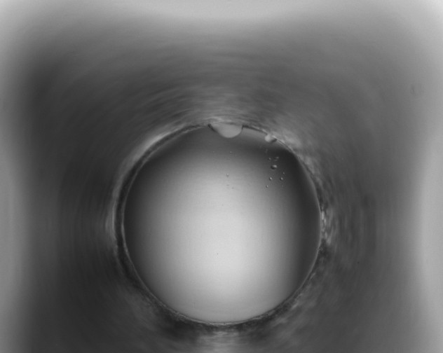 X0000088740196200706071706