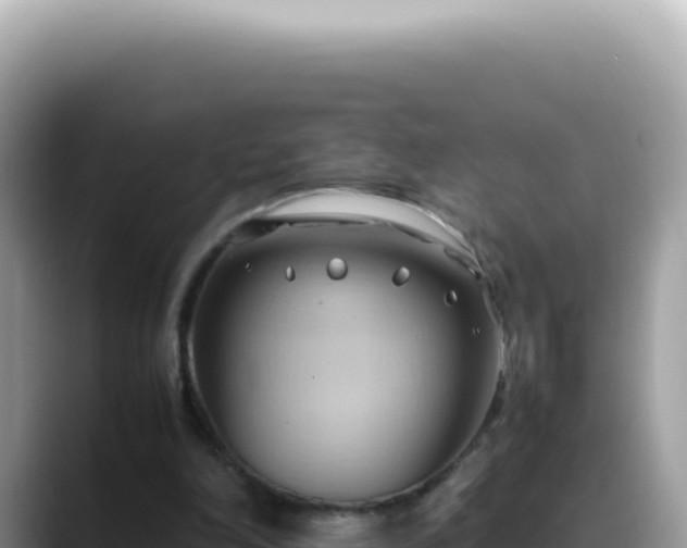 X0000088740198200706071706
