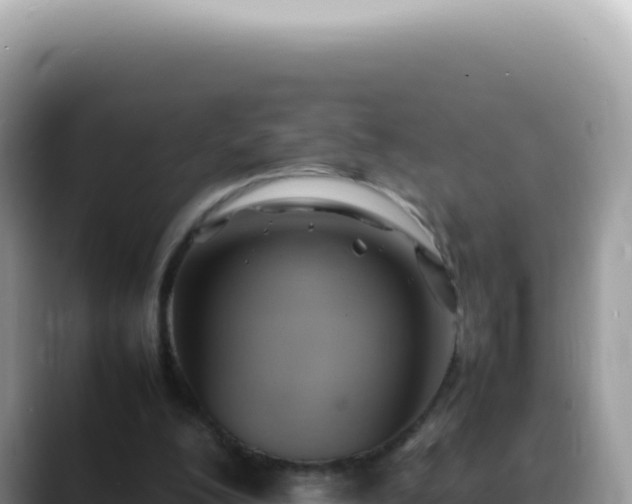 X0000088740200200706071706