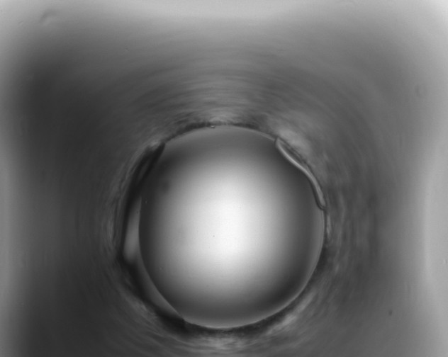 X0000088740201200706071706
