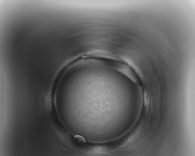 X0000088740204200706071706